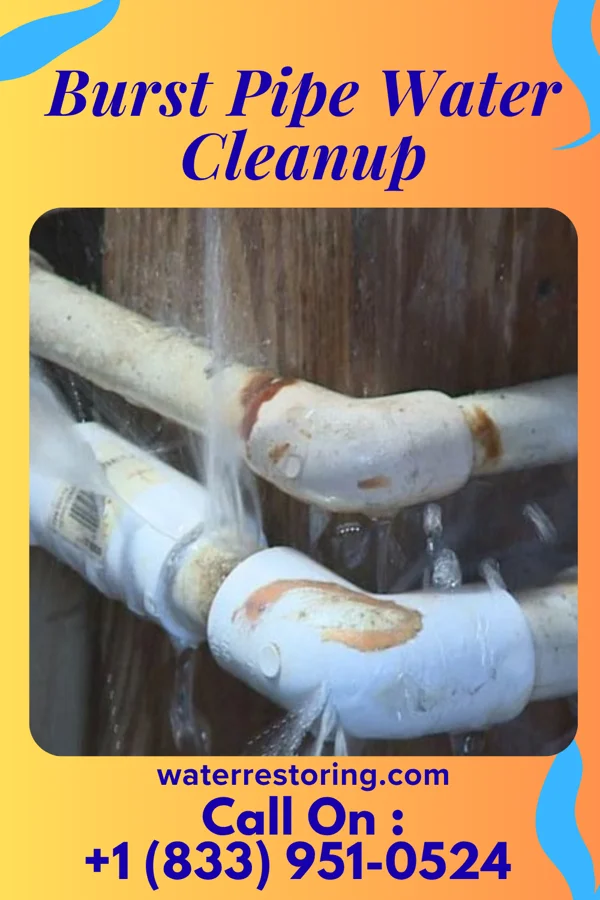 Burst Pipe Water Cleanup in Tiptonville, TN