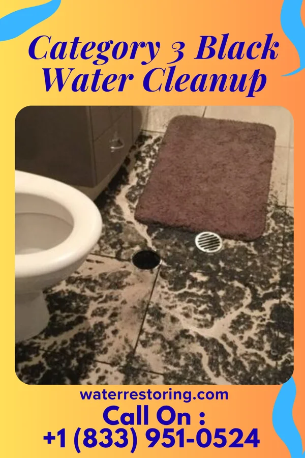 Category 3 Black Water Cleanup in Tiptonville, TN