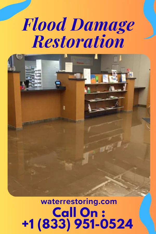 Flood Damage Restoration in Tiptonville, TN
