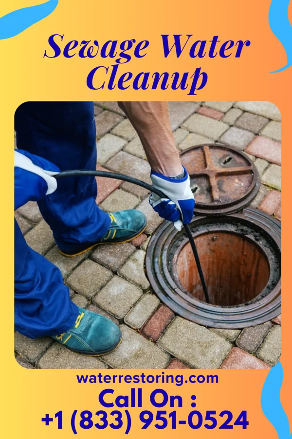 Sewage Water Cleanup in Tiptonville, TN